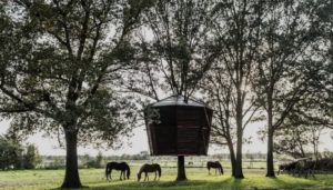 bron: airbnb.nl