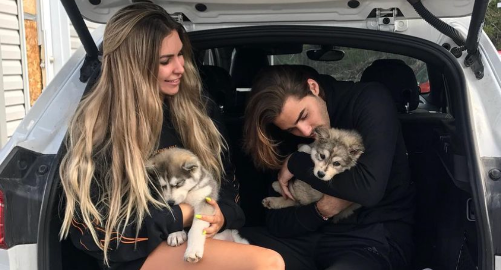 Familiehonden