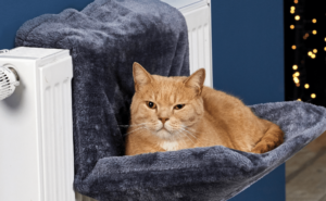 kattenhangmat