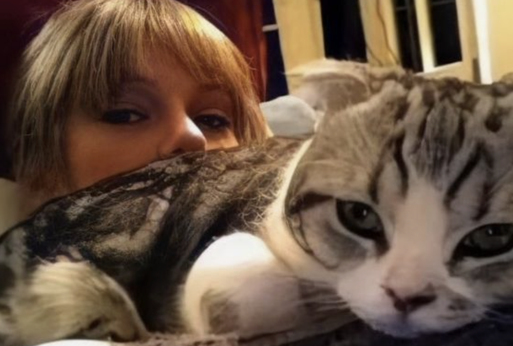 kat van Taylor Swift