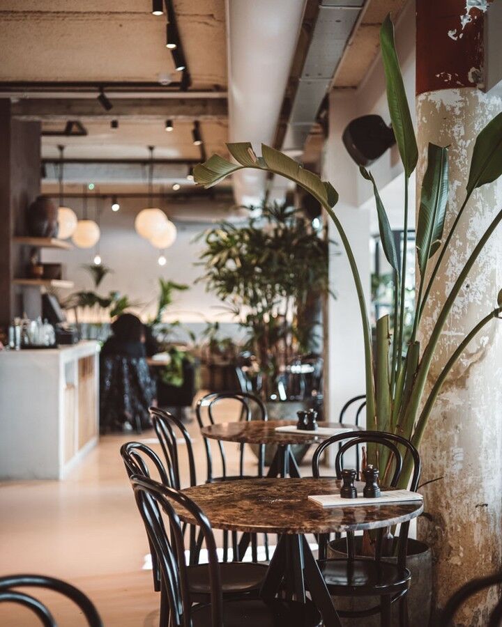 Lunch Rotterdam