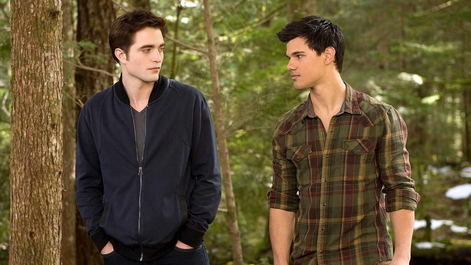 Edward en Jacob in de Twilight-saga.