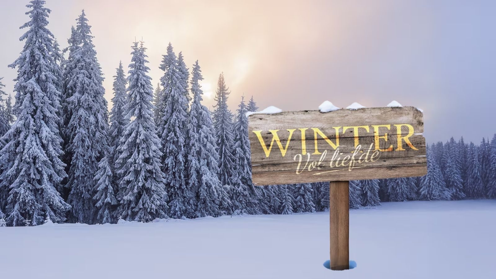 Winter Vol Liefde.
