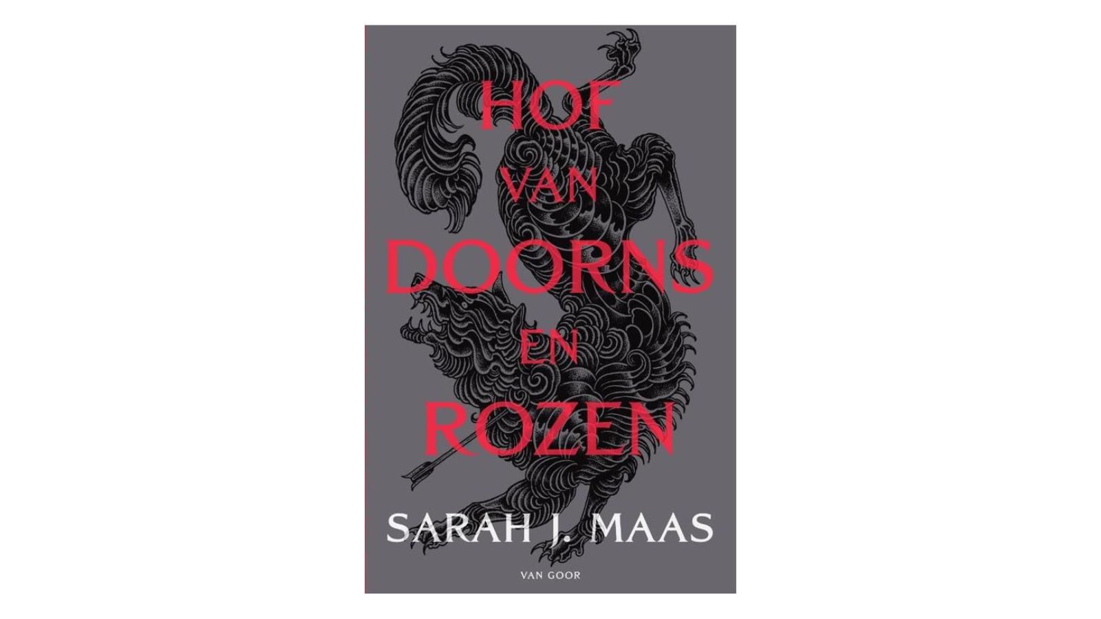 Het Hof van Doorns en Rozen - Sarah J Maas
