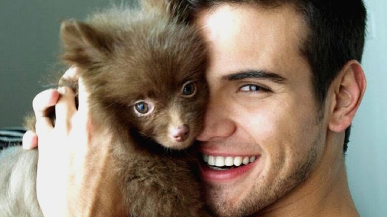 Illustratie voor: Wij vieren nationale puppydag met deze knappe mannen