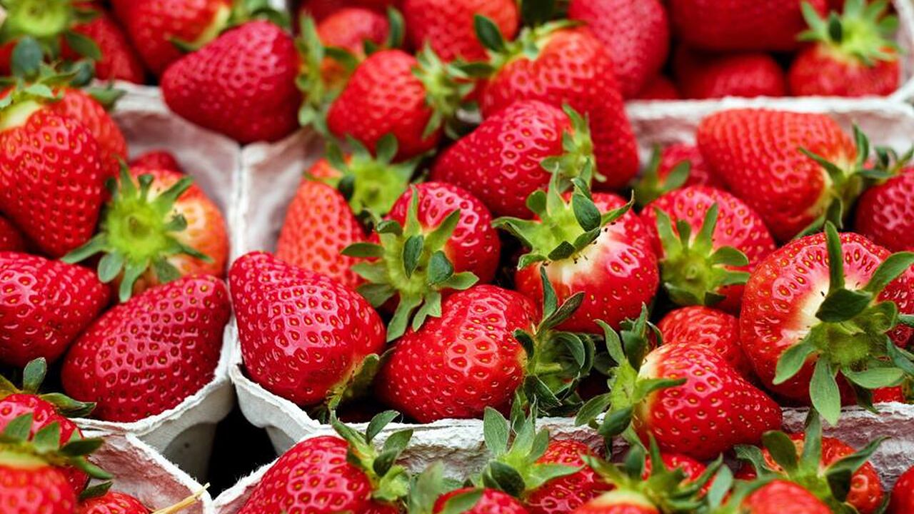 Illustratie voor: Aardbeien liefhebber? Je haalt je hart op bij Aardbei Amsterdam