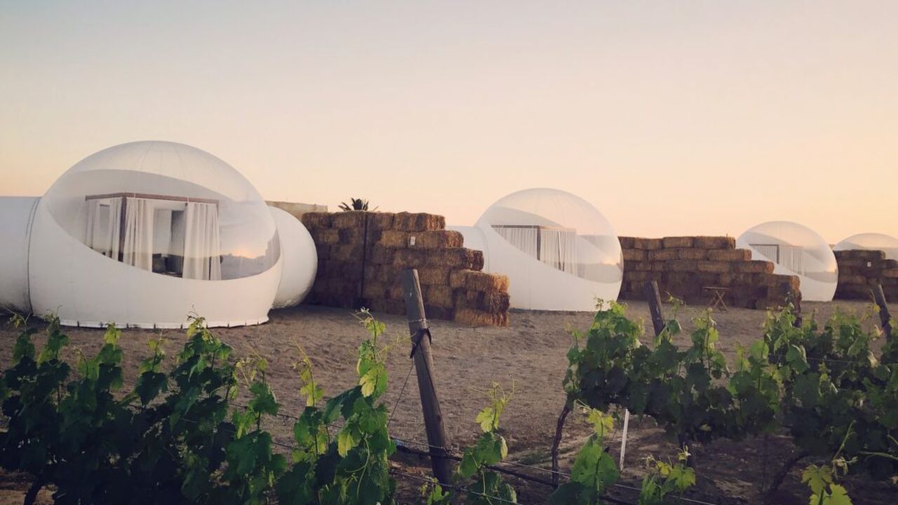 Illustratie voor: Slapen tussen de wijngaarden doe je in dit bubbelhotel