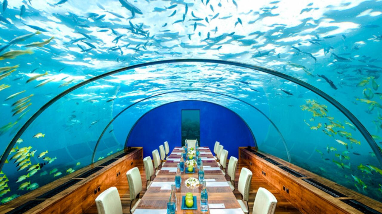Illustratie voor: Er bestaat een onderwater restaurant waar je kunt dineren tussen de vissen