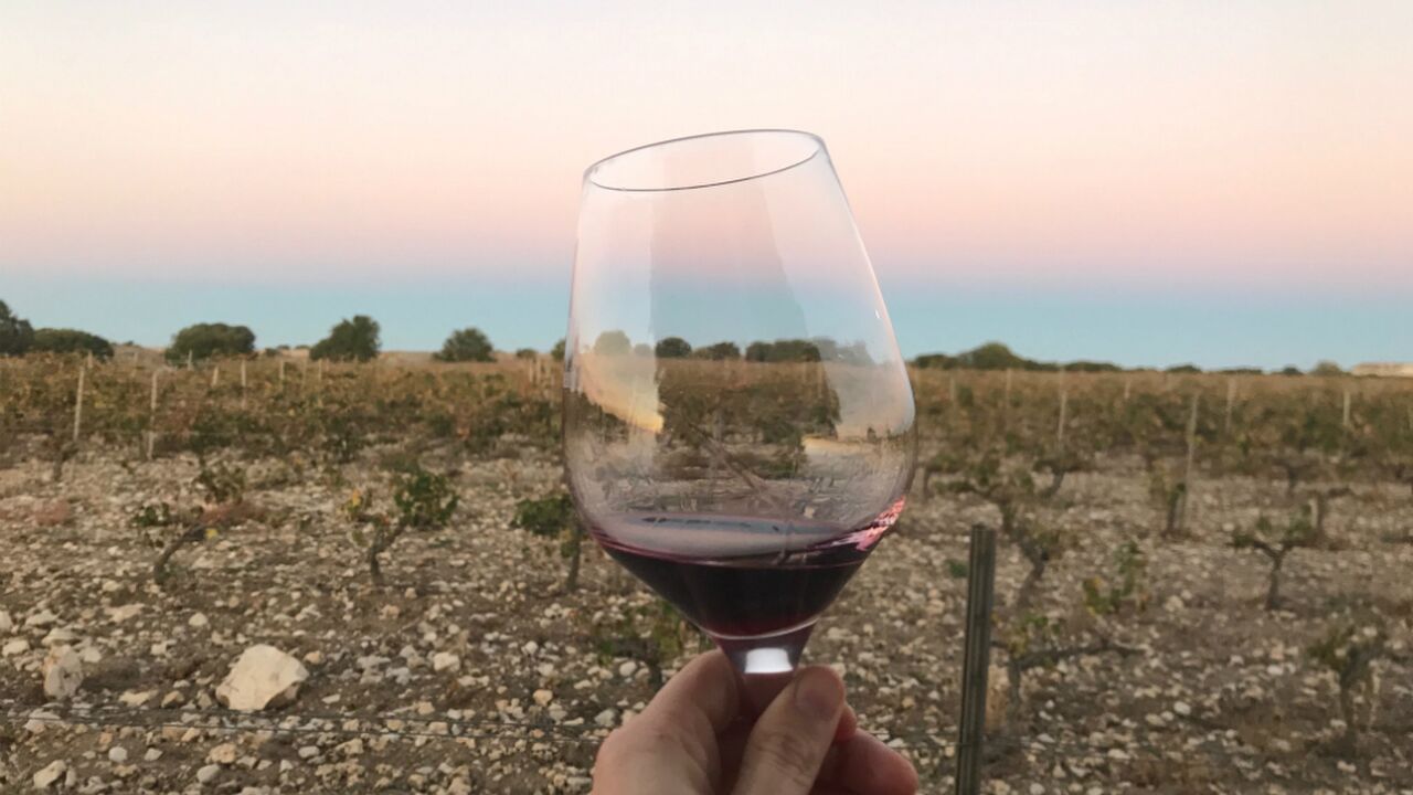 Illustratie voor: Wijnreis Ribera del Duero: rondtrekken door een Spaanse wijnstreek