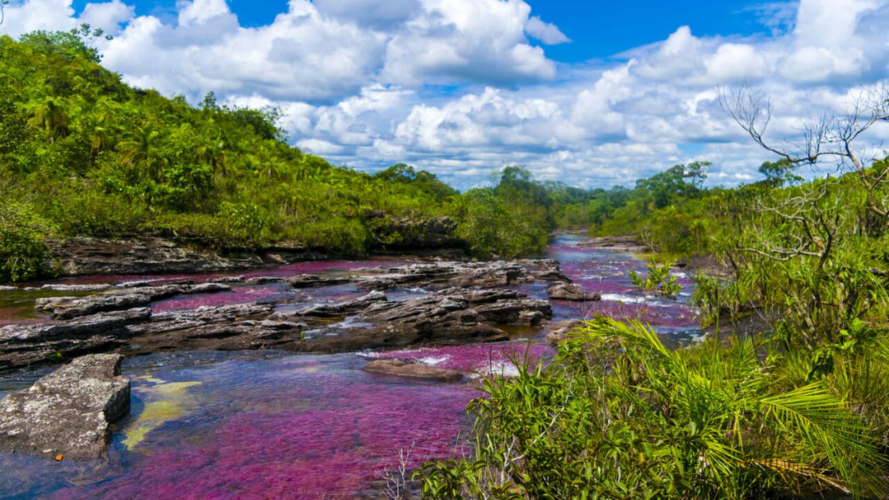 Illustratie voor: Deze regenboogrivier in Colombia wordt beschouwd als de mooiste rivier ter wereld