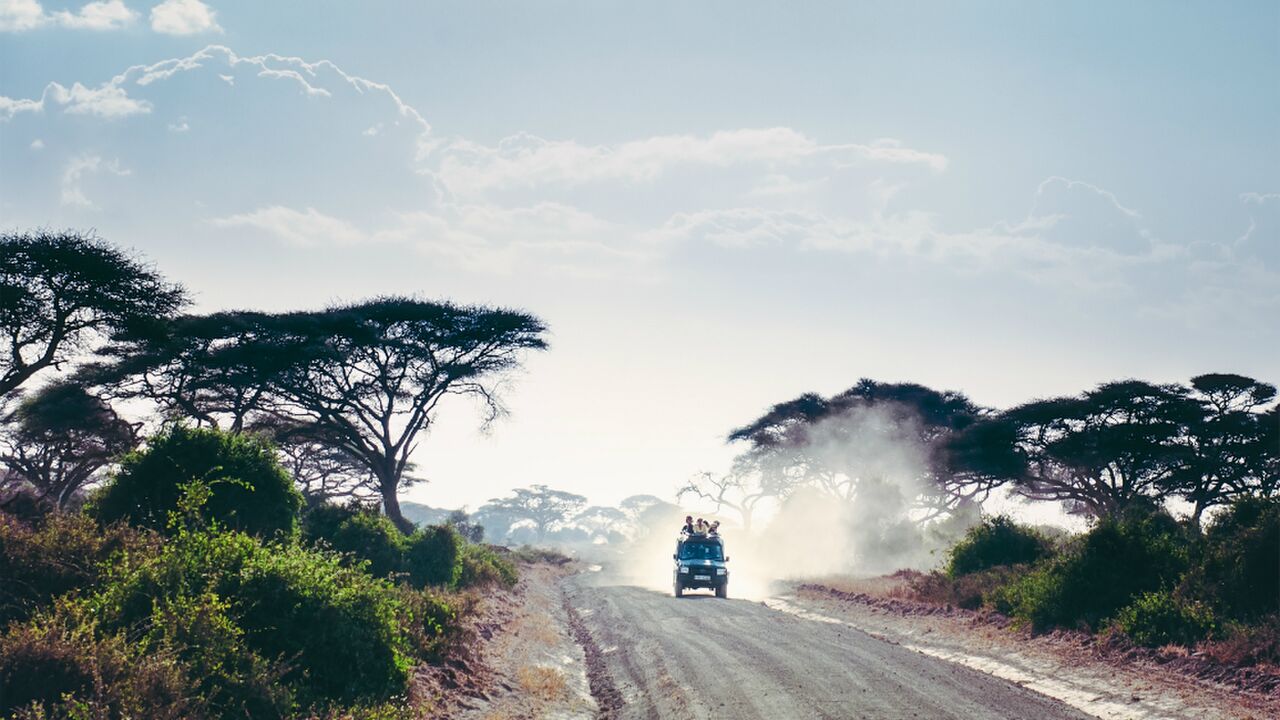 Illustratie voor: Dit is waarom Zuid-Afrika jouw volgende vakantiebestemming wordt