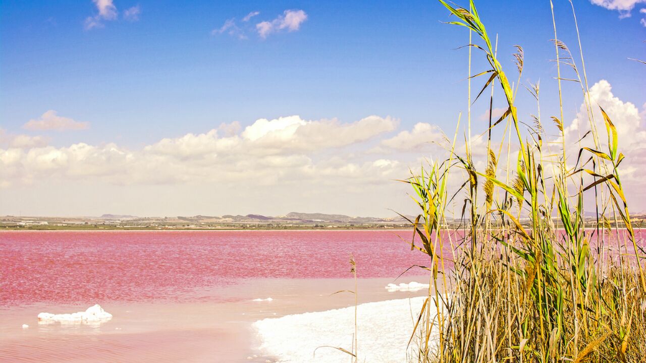 Illustratie voor: Er bestaat een roze meer en je vindt ‘m gewoon in Europa!