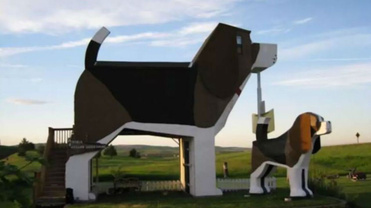 Illustratie voor: Bed and Breakfast op een bijzondere manier: slapen in een Beagle