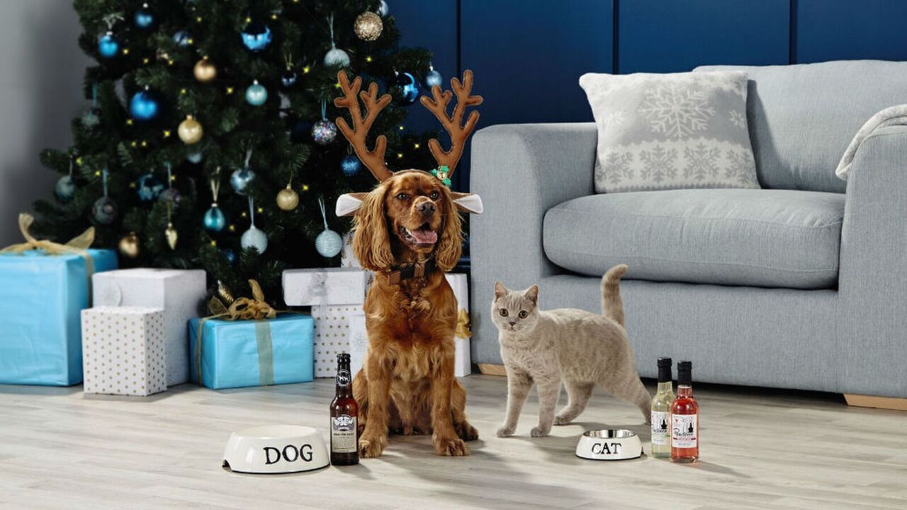 Illustratie voor: Kerst voor honden en katten: Aldi komt met bier en Pawsecco voor je huisdier