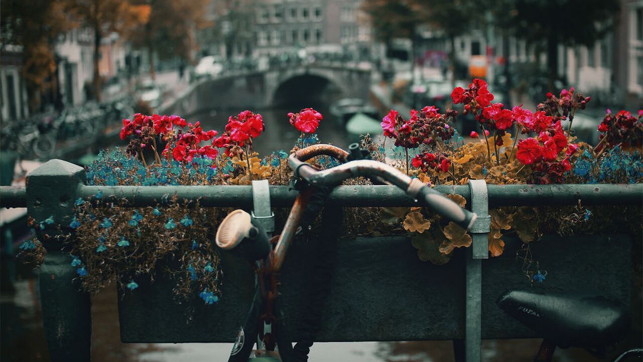 Illustratie voor: #11 Soof: Gewend in Amsterdam