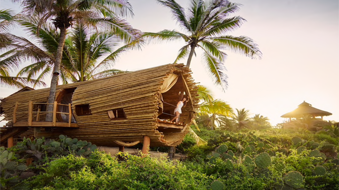 Illustratie voor: De meest toffe boomhutten die je kunt huren via Airbnb