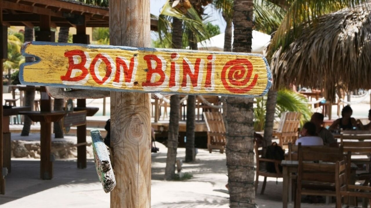 Illustratie voor: Een week feesten op Curaçao: dit is er van dag tot dag te doen