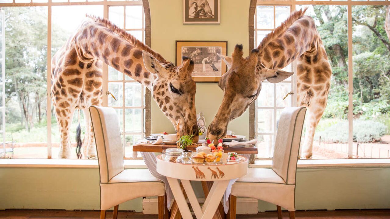 Illustratie voor: Dit zijn de meest bijzondere restaurants ter wereld