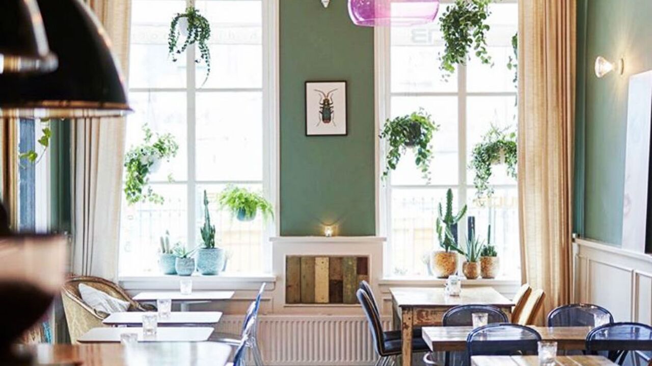 Illustratie voor: Dit zijn de leukste lunchplekjes in Den Bosch