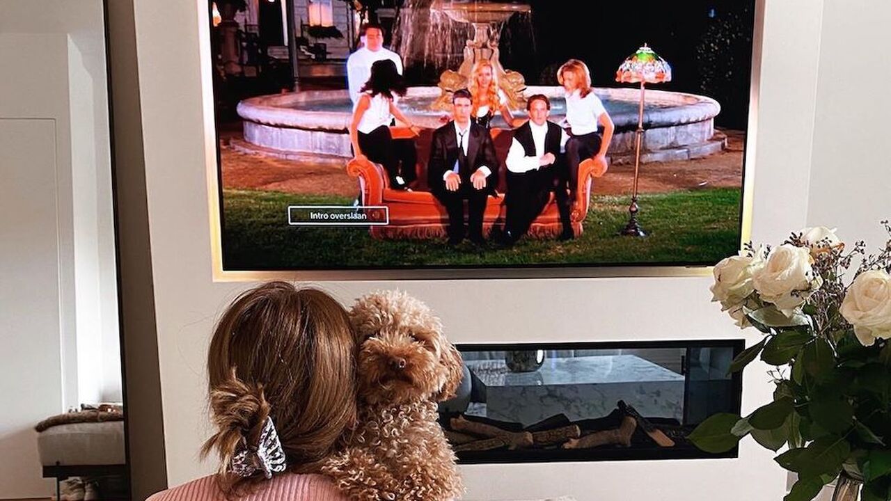 Illustratie voor: Volgens Netflix is dit je beste bingepartner