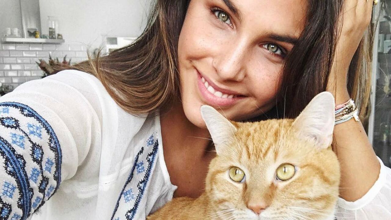 Illustratie voor: Science says: kattenmensen zijn slimmer