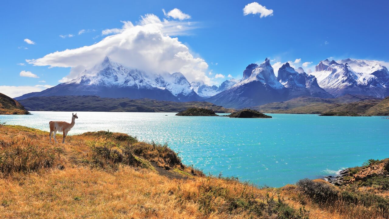 Illustratie voor: Het walhalla voor natuurliefhebbers: Patagonië