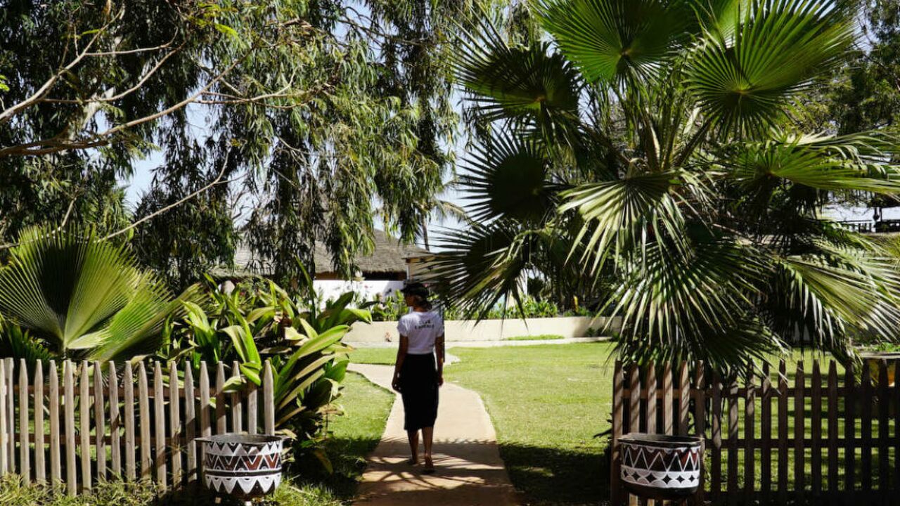 Illustratie voor: Gambia: je nieuwe favoriete bestemming