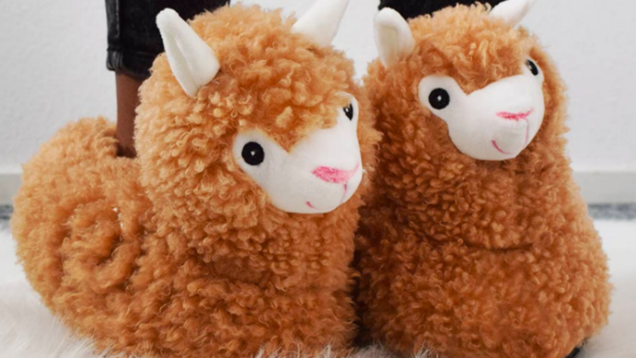 Illustratie voor: De musthave voor de herfst: alpaca sloffen