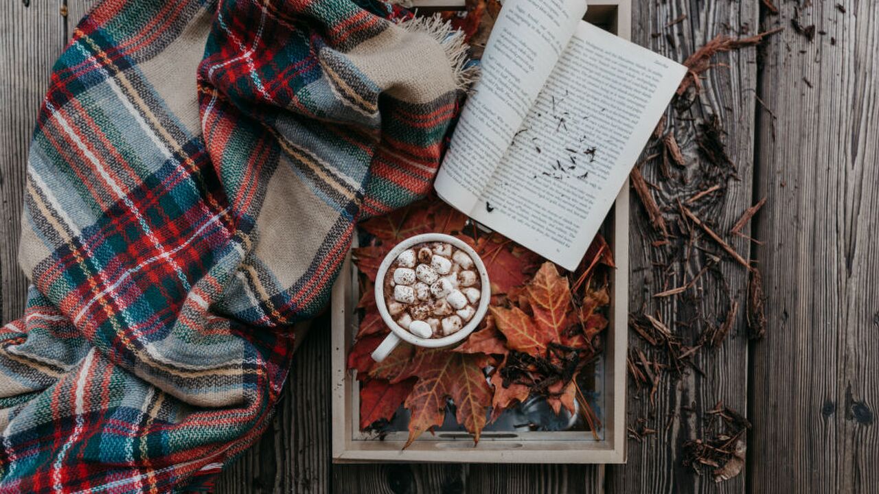 Illustratie voor: Waarom we stiekem zin hebben in de herfst