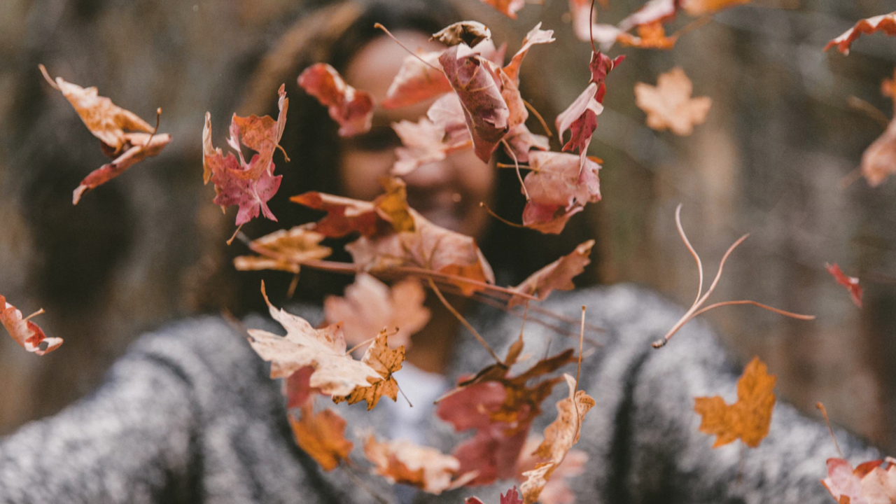 Illustratie voor: Herfst: de 9 meest typerende dingen voor dit seizoen