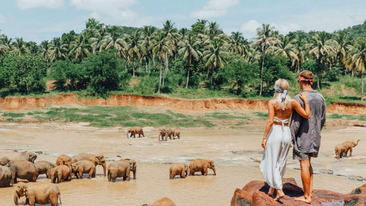 Illustratie voor: Sri Lanka: een prachtig land voor een mooie rondreis