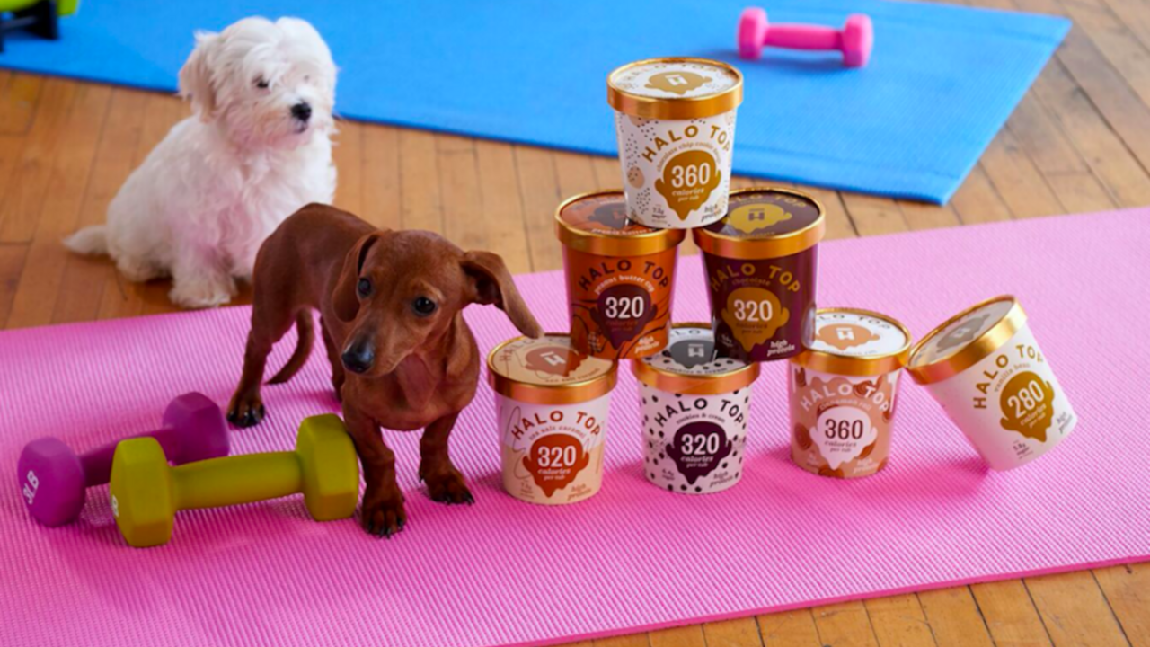 Illustratie voor: Wil je bij zijn: pilates met schattige puppies én het lekkerste ijs