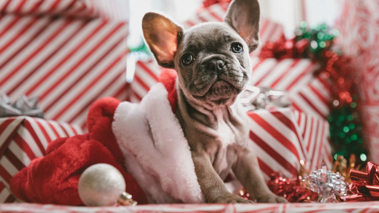 Illustratie voor: De truc om met kerst 11 dagen vrij te zijn met maar 4 vakantiedagen