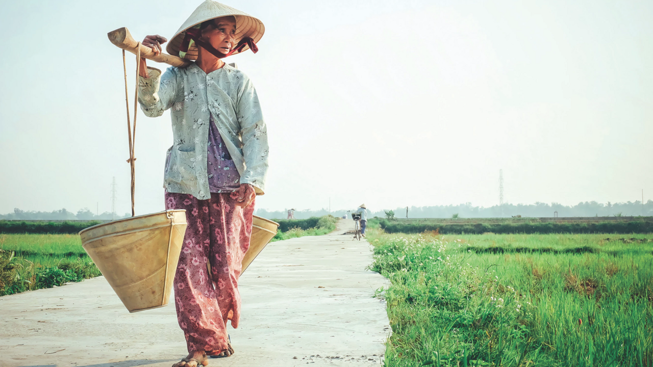 Illustratie voor: Vietnam: het culturele paradijs van Azië