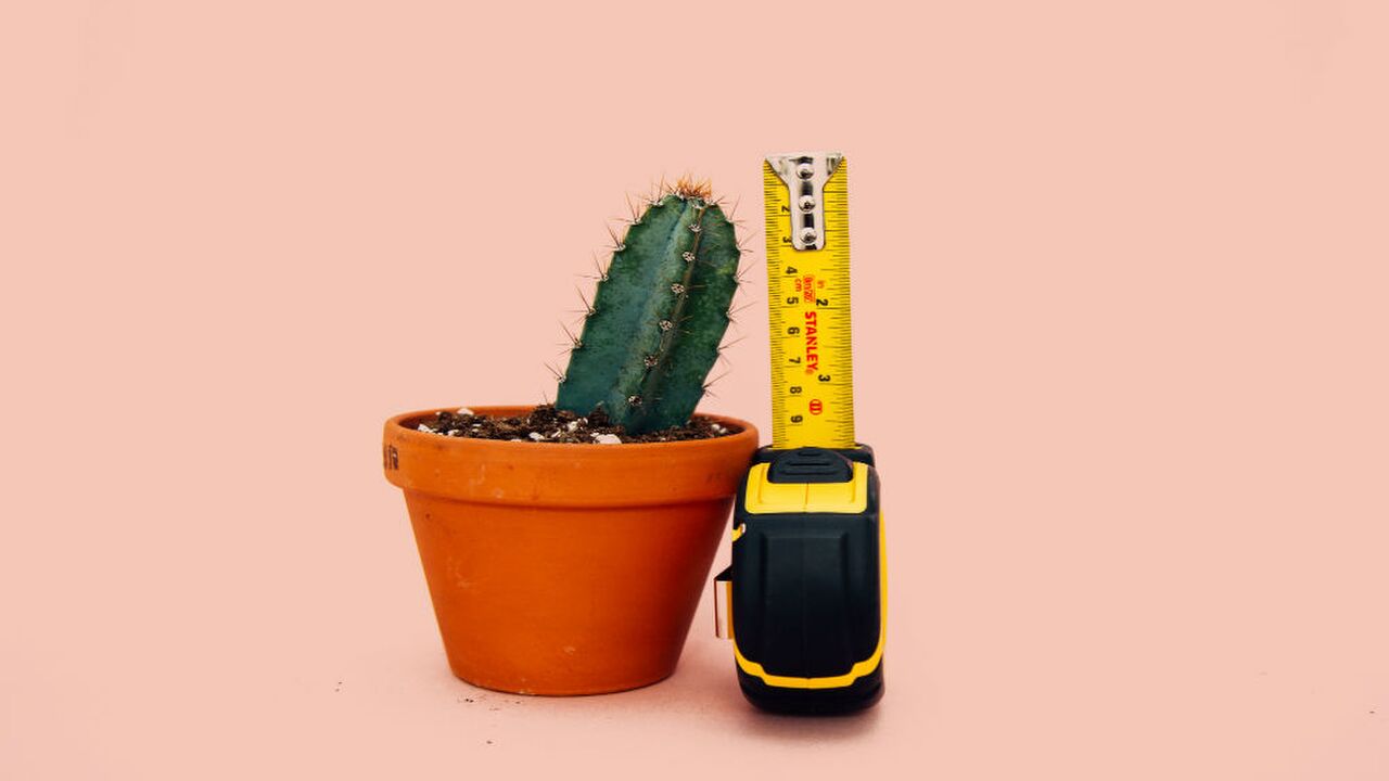 Illustratie voor: Wat hij je liever niet vertelt over zijn penis