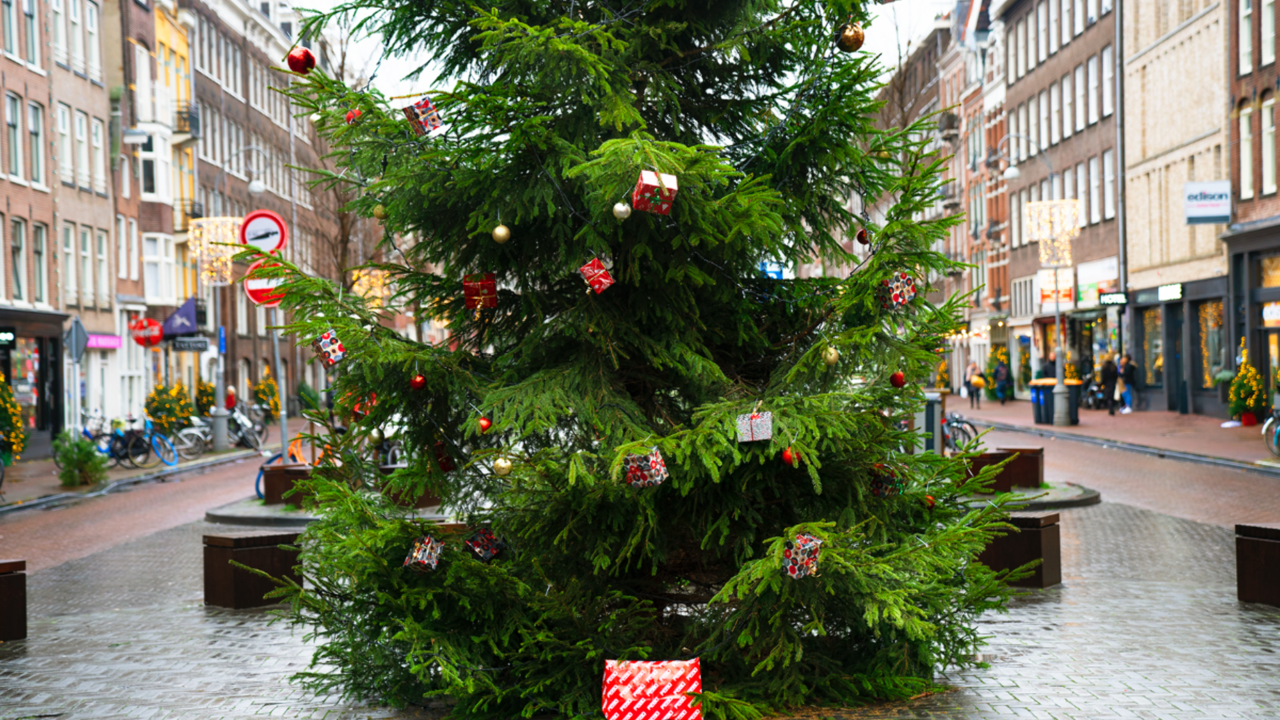 Illustratie voor: Té leuk: FEBO verstopt vandaag cadeautjes onder de kerstboom