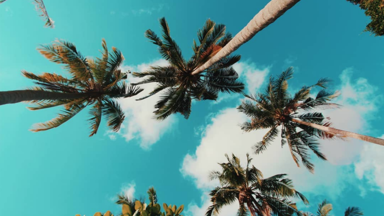Illustratie voor: Karimunjawa: het paradijs van Indonesië