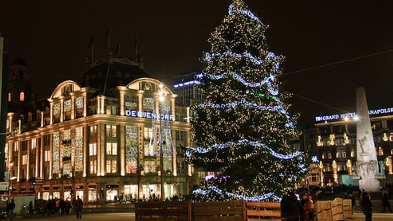 Illustratie voor: Cute: olifanten Artis krijgen kerstboom die op de dam staat