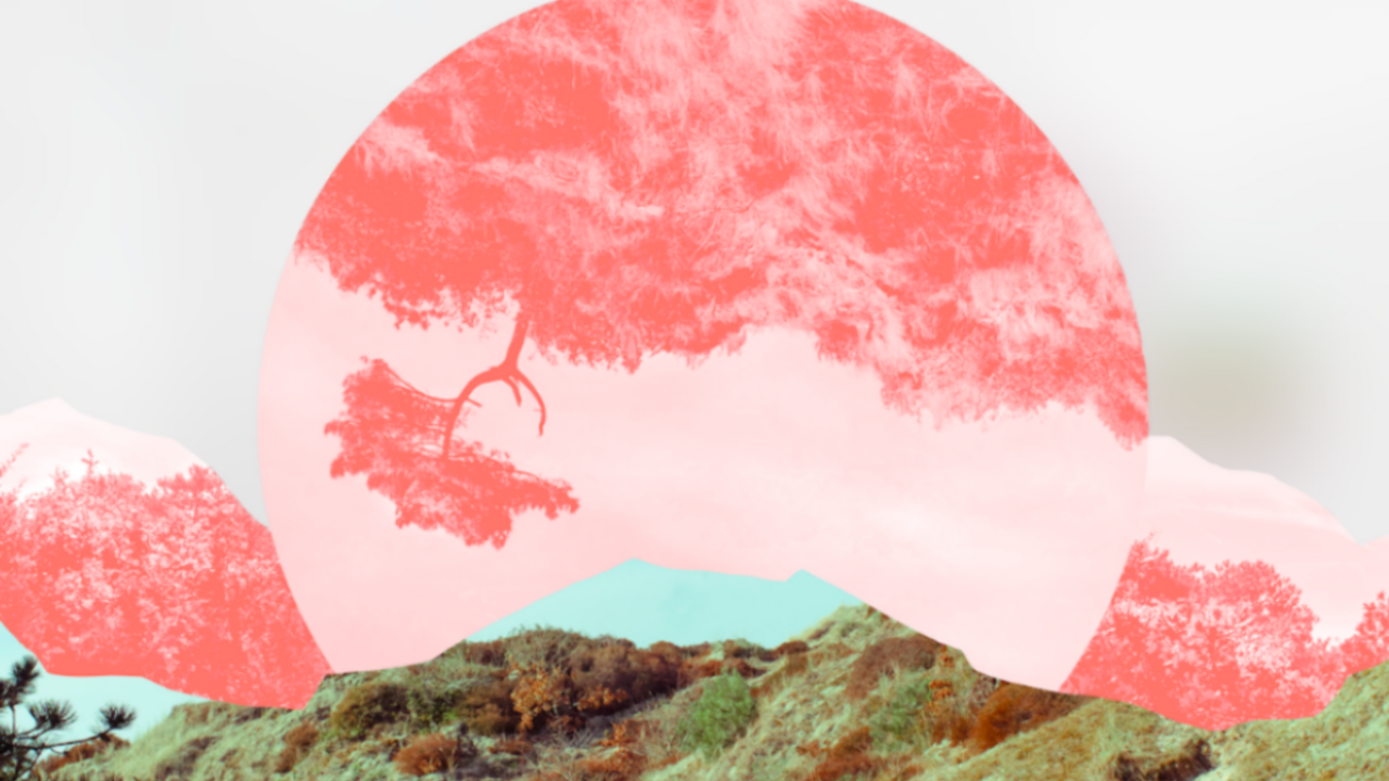 Illustratie voor: Geen kaartje voor Wildeburg? Dan is eilân het nieuwe festival dat je niet wilt missen