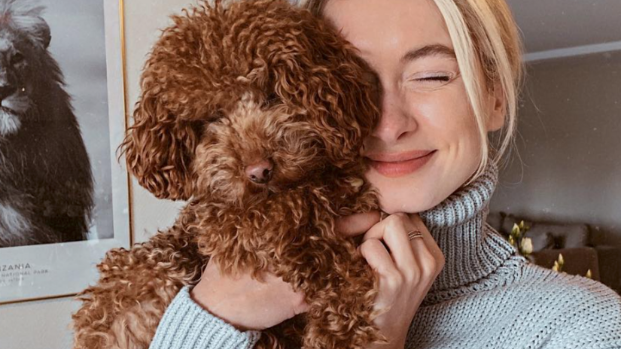 Illustratie voor: Science says: mensen met een hond leven langer