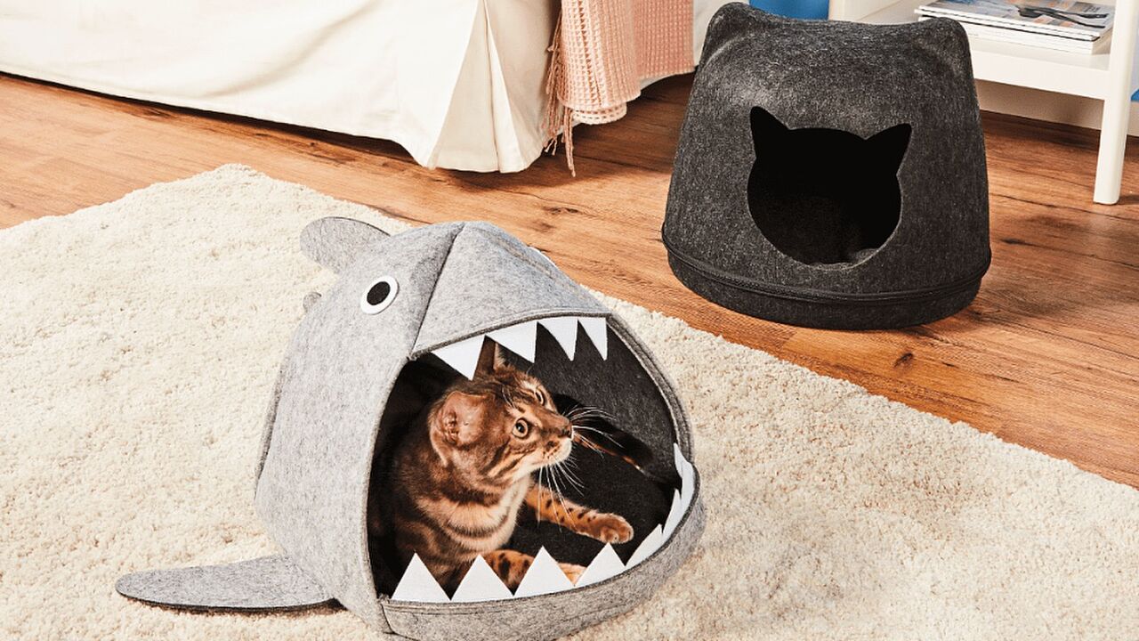 Illustratie voor: Je hebt het eigenlijk niet nodig, maar toch wil je het: een haaien kattenmand