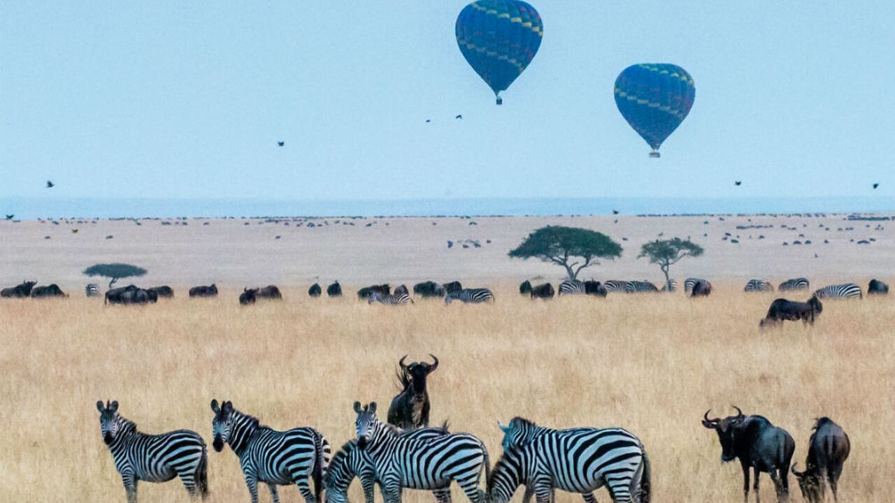 Illustratie voor: Een overnachting om nooit te vergeten: slapen tussen de wilde dieren in Kenia