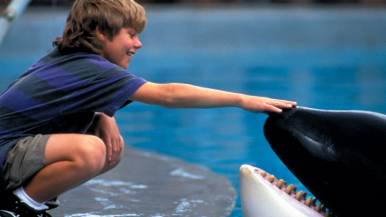 Illustratie voor: Nieuw op Netflix: Nostalgie op de dinsdag met Free Willy