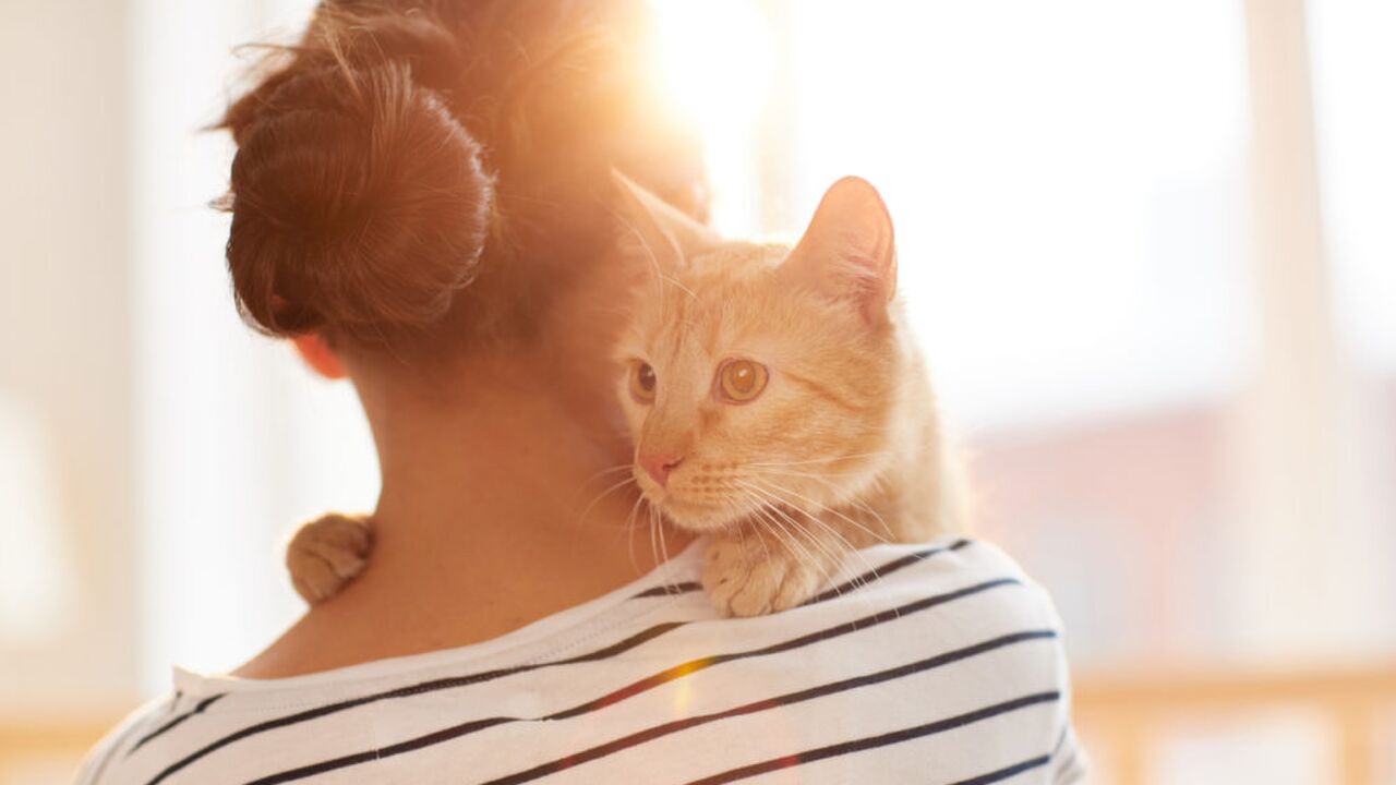Illustratie voor: Science says: je kat is net zo dol op jou als jij op hem