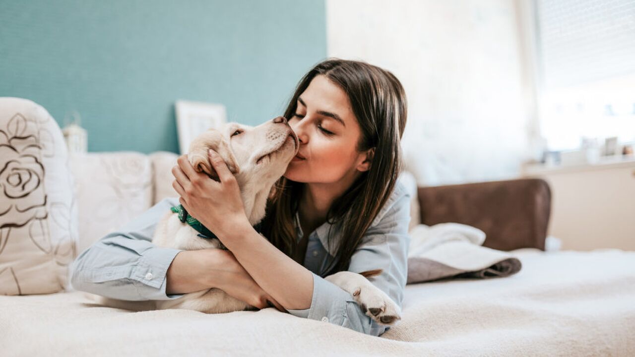 Illustratie voor: Science says: je slaapt beter met een hond naast je dan je partner