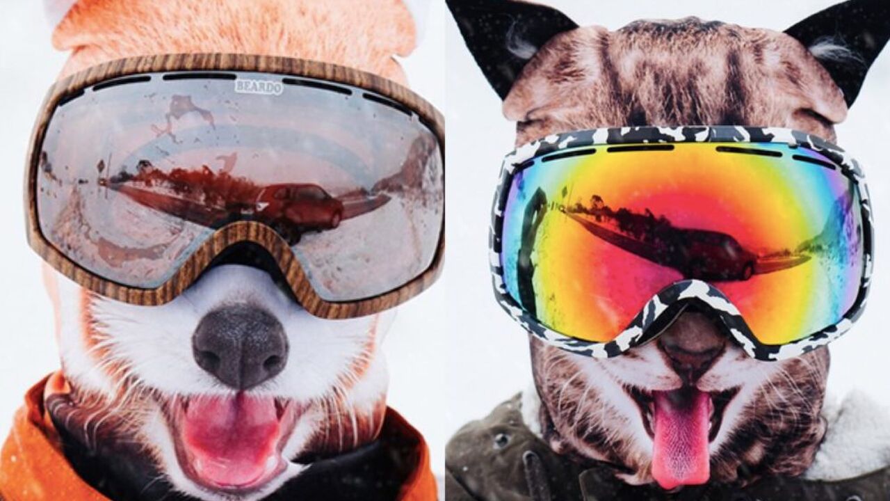 Illustratie voor: Wintersport is nog nooit zo leuk geweest met deze skimaskers