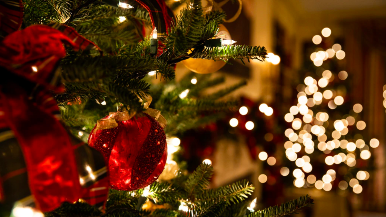 Illustratie voor: Waarom het helemaal oké is om je kerstboom tot februari te laten staan