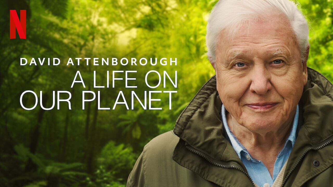 Illustratie voor: Netflix tip voor de zondagavond: A Life On Our Planet