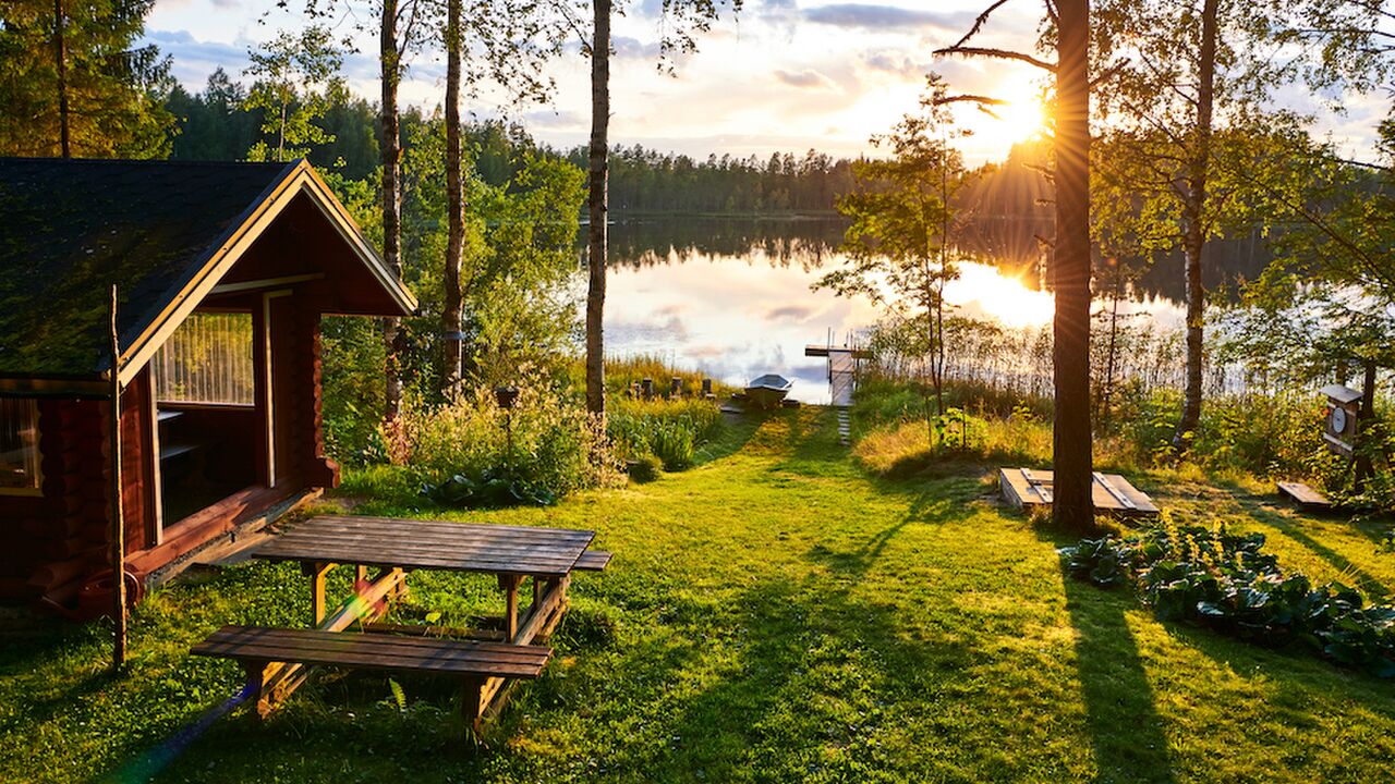 Illustratie voor: Er even tussenuit? Dit zijn de mooiste vakantiehuisjes in de bossen