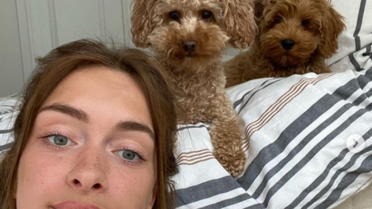 Illustratie voor: Wil je volgen: de 14 populairste dierenaccounts op Instagram